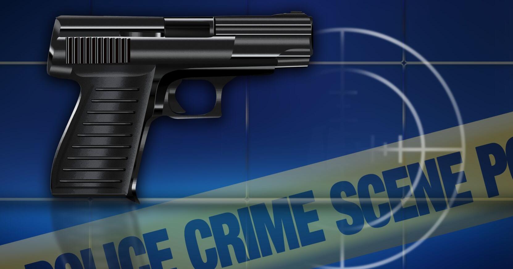 Two suspects arrested in Austin drive-by-shooting and vehicle found - Vimarsana News