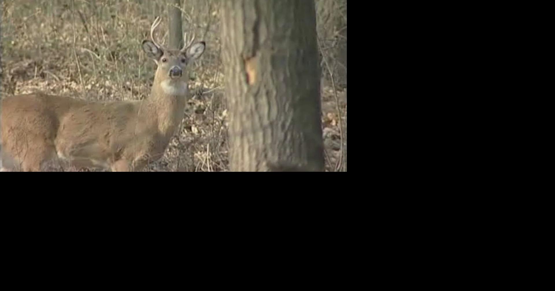 Snowy Iowa forecast signals start of popular deer gun season
