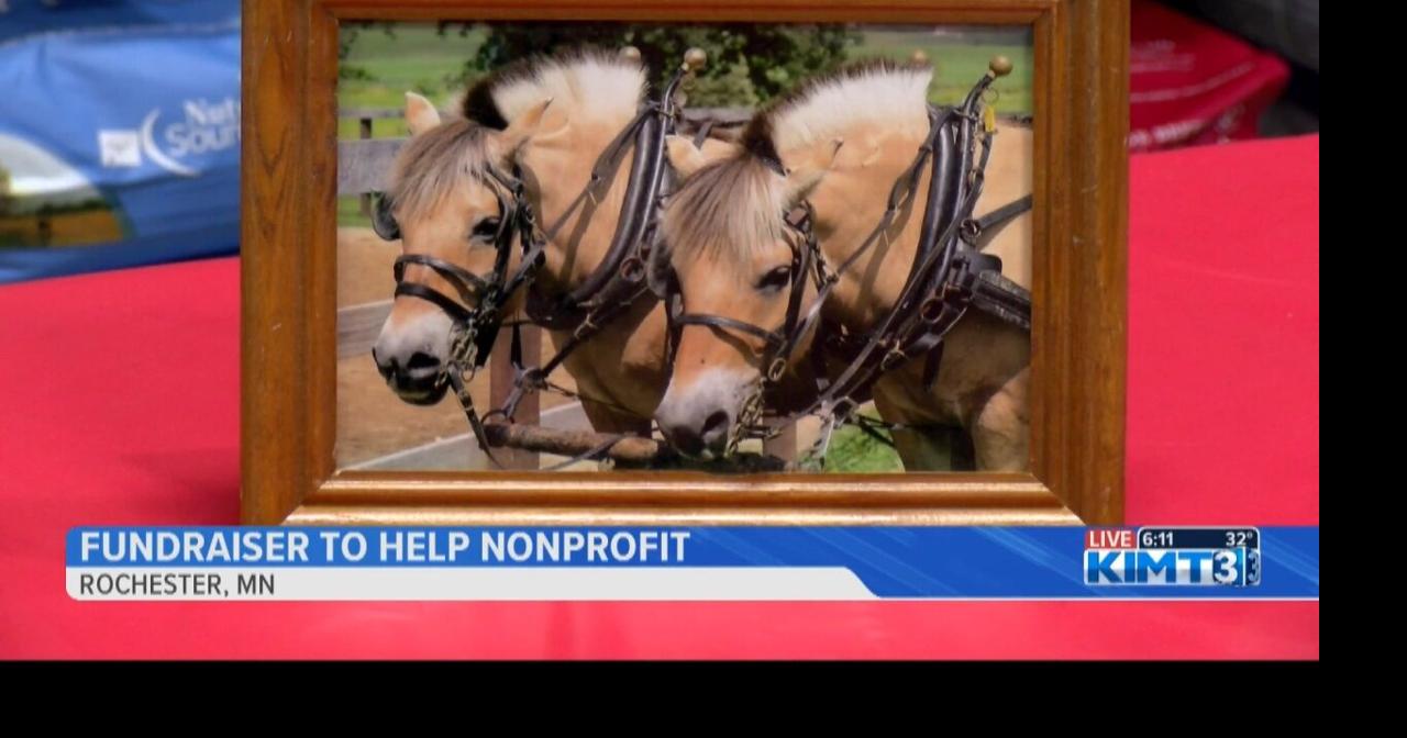 Fundraiser in Rochester for nonprofit RideAbility | News | kimt.com