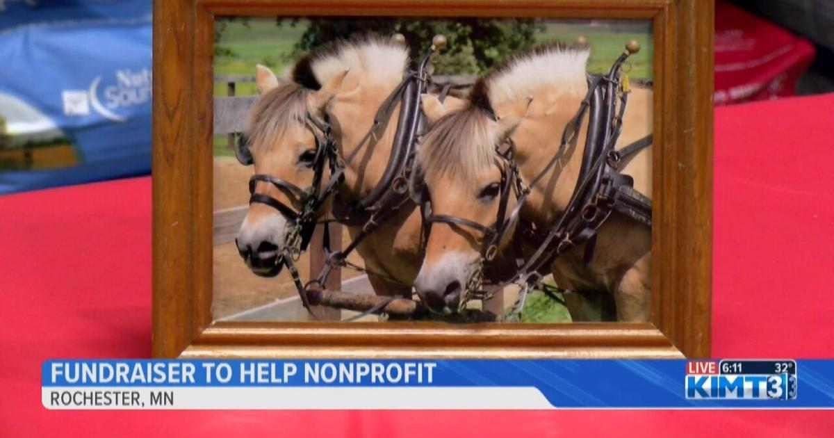 Kimt Rochester Fundraiser in Rochester for nonprofit RideAbility | News | kimt.com