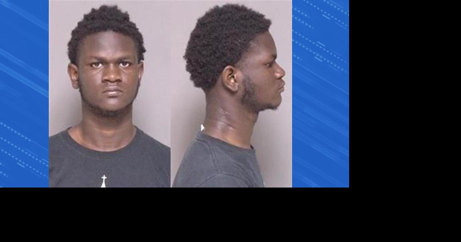 Traffic stop in Rochester results in finding materials to make ghost ...