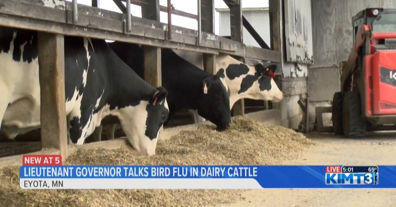 Lieutenant Governor Peggy Flanagan visits Eyota to talk about the dairy industry and bird flu - Vimarsana News