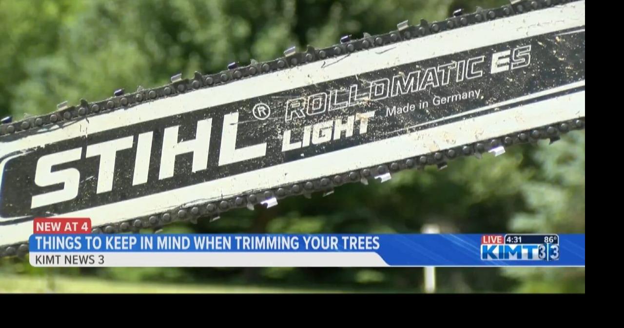 Tree trimming tips to keep in mind to prevent injuries | News | kimt.com
