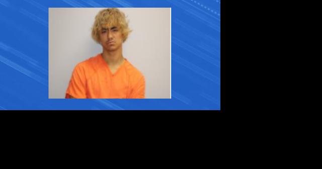 Austin man sentenced after plea deal over eight felony sex crimes - Vimarsana News