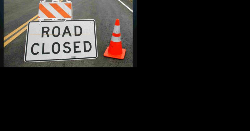 Ash tree removal to close stretch of road in Mason City - Vimarsana News