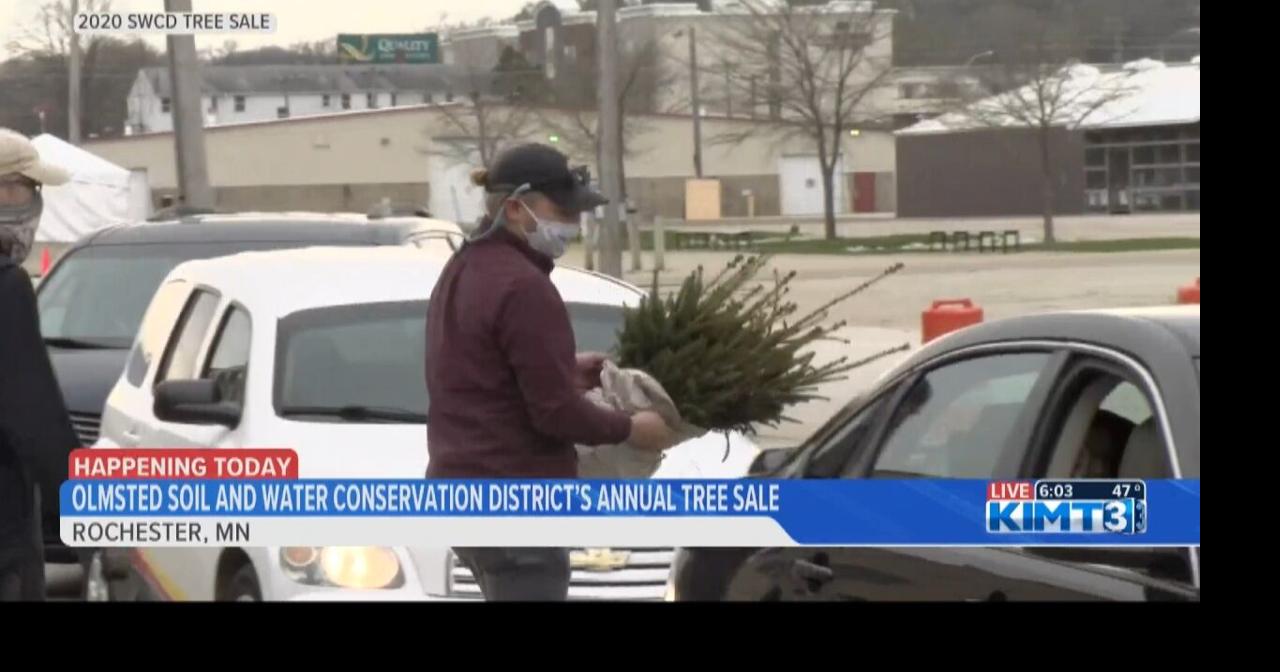 SWCD annual tree sale pick-up | News | kimt.com