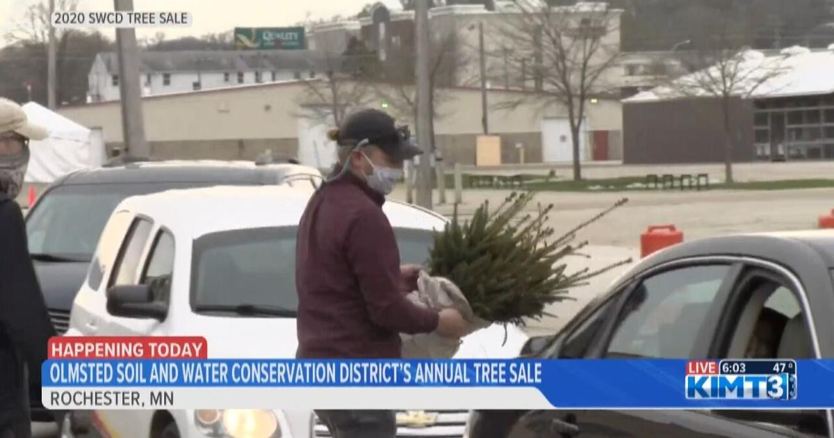 Swcd Tree Sale SWCD annual tree sale pick-up | News | kimt.com