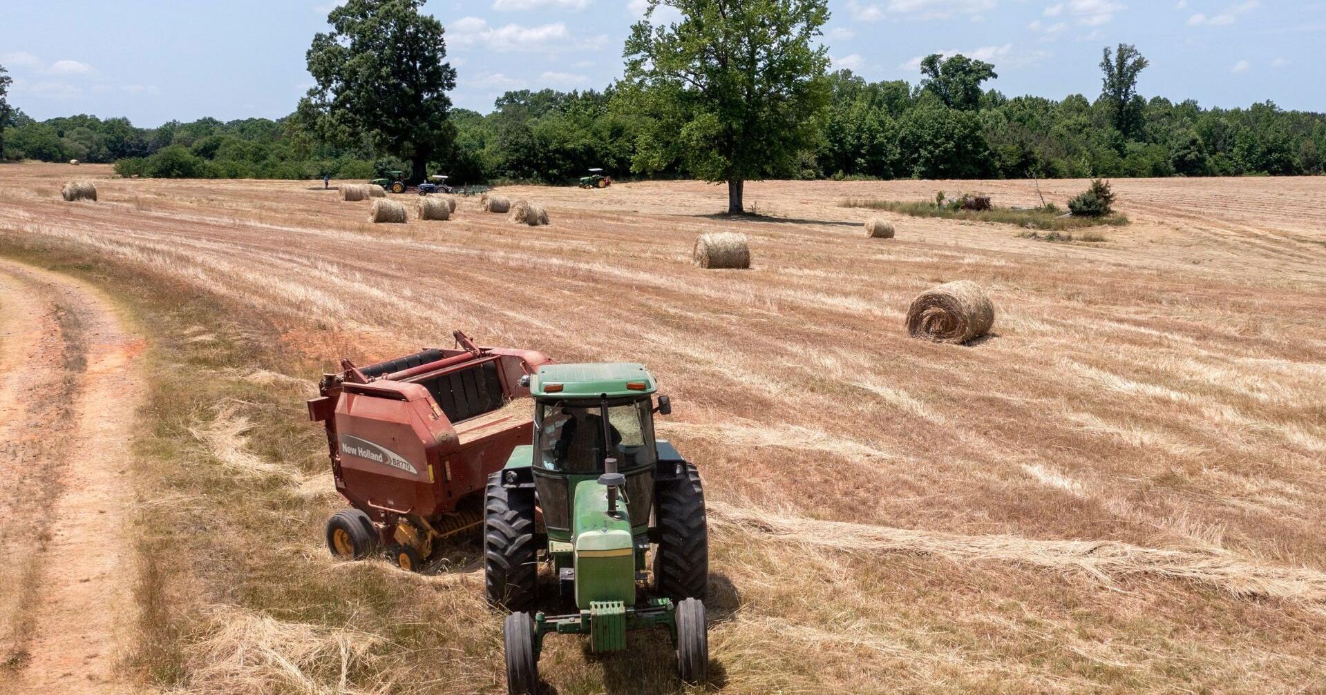 USDA begins accepting discrimination relief applications from farmers - Vimarsana News