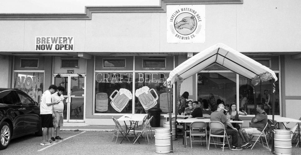 Javelina Watering Hole marks Kingsville's first microbrewery