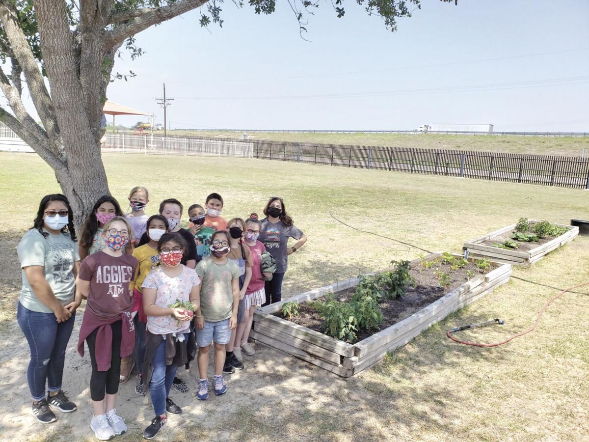 Sarita Elementary wins best overall garden