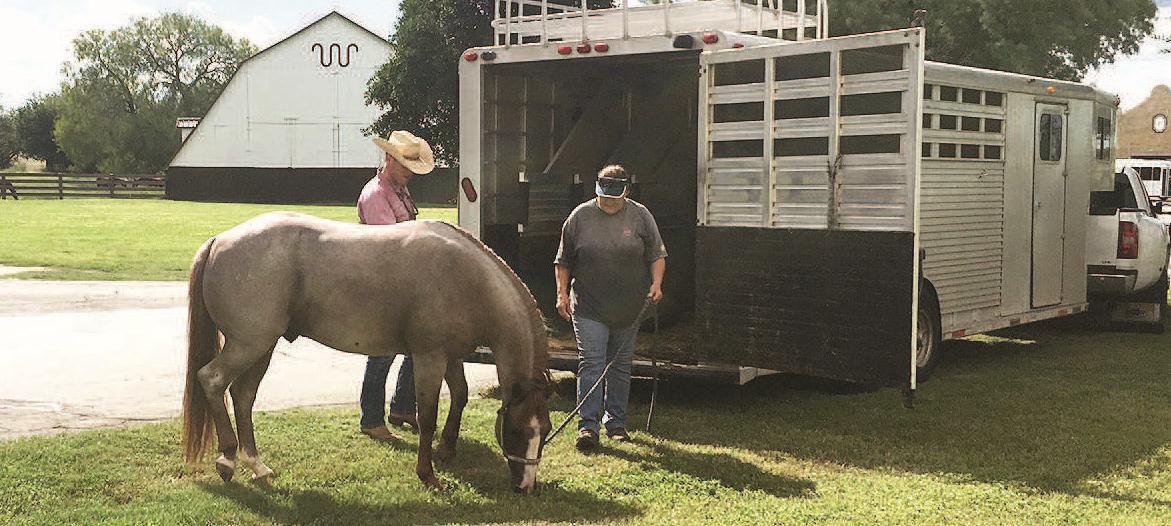The Boon Comes To King Ranch Kingsvillerecord Com The Boon Comes To King Ranch Kingsvillerecord Com