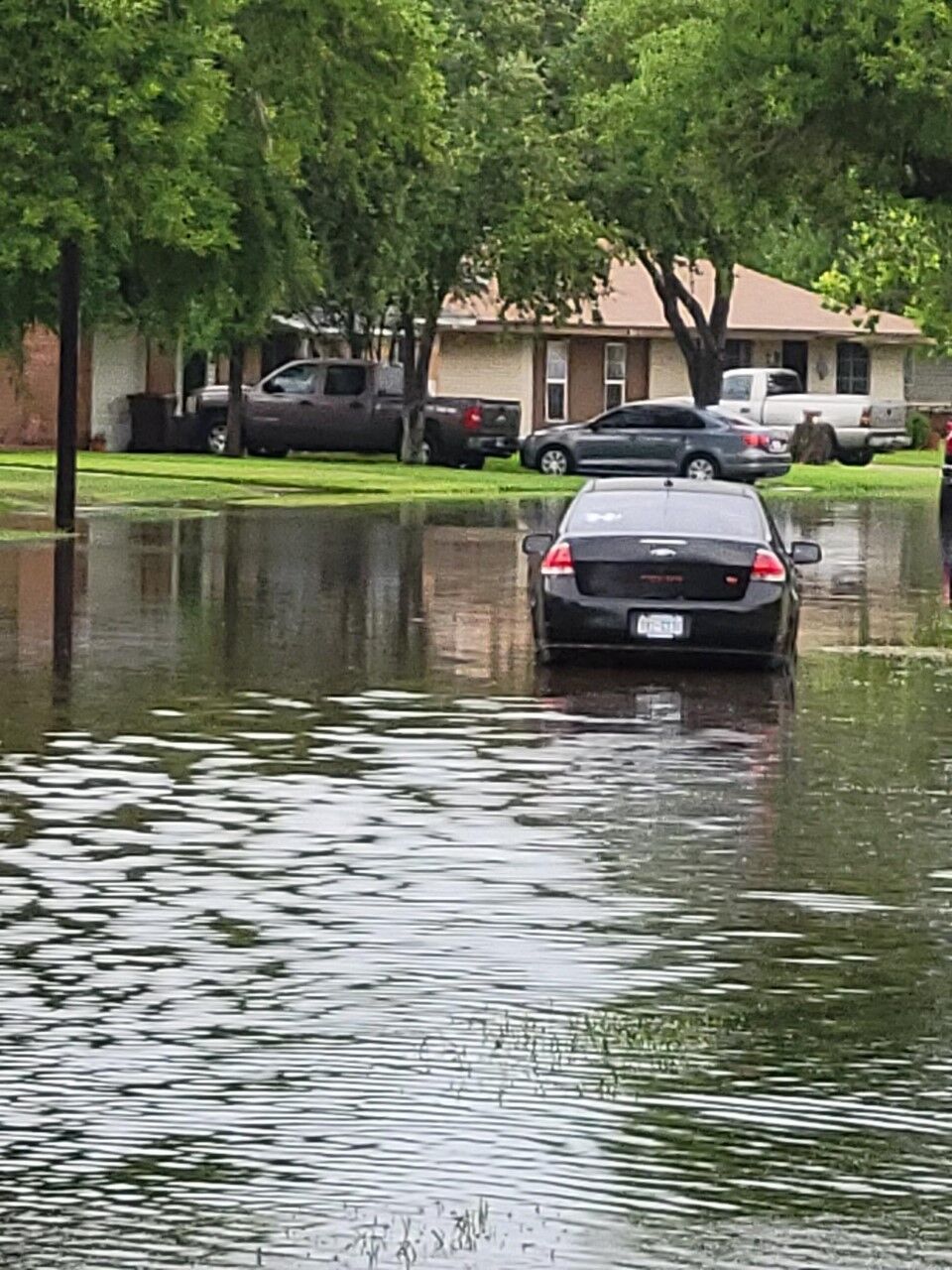 SON OF FLOOD
