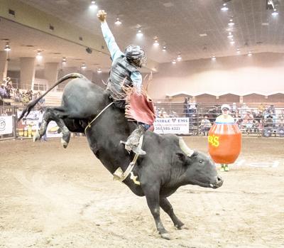 Bull Riders Take The Ride Of Their Lives News Kingsvillerecord Com