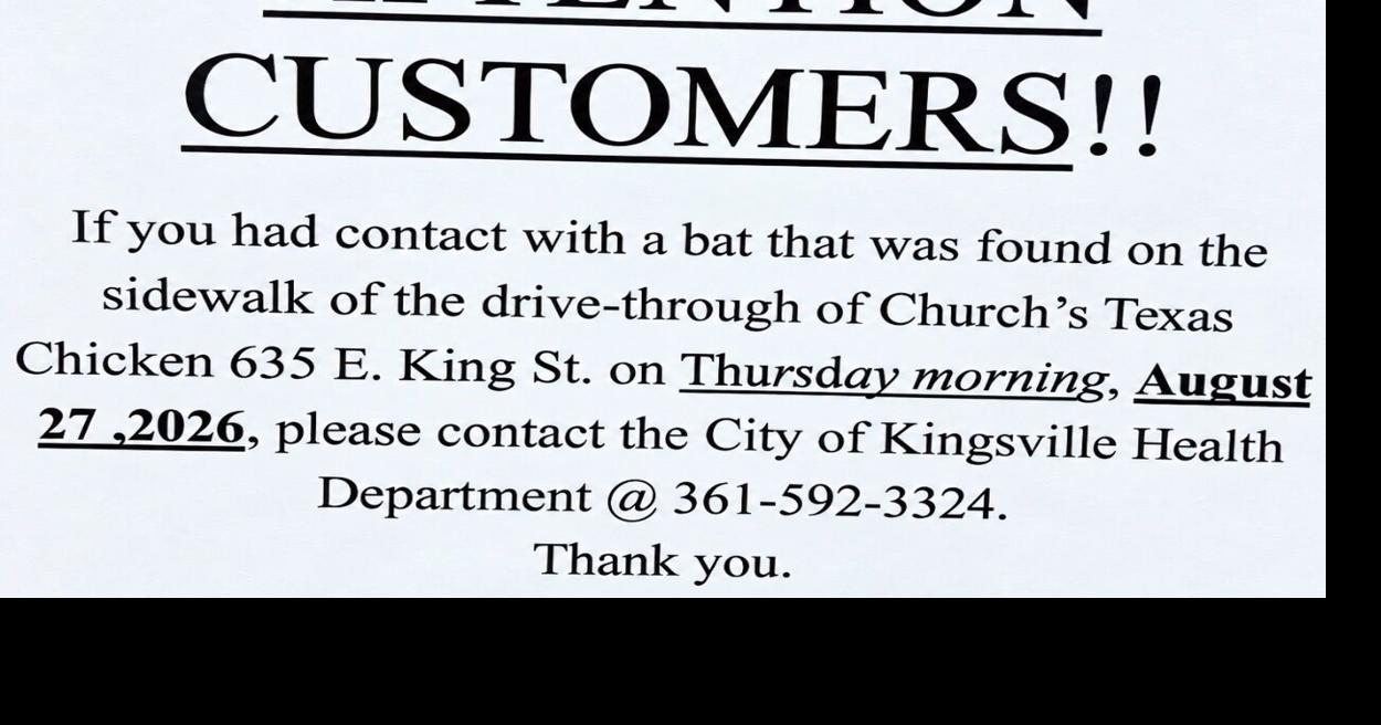 Bat found at Kingsville restaurant tests positive for rabies