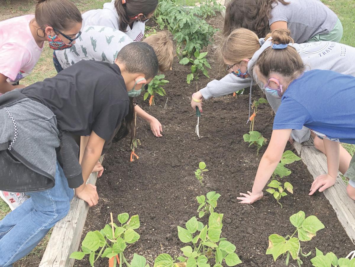 Sarita Elementary wins best overall garden