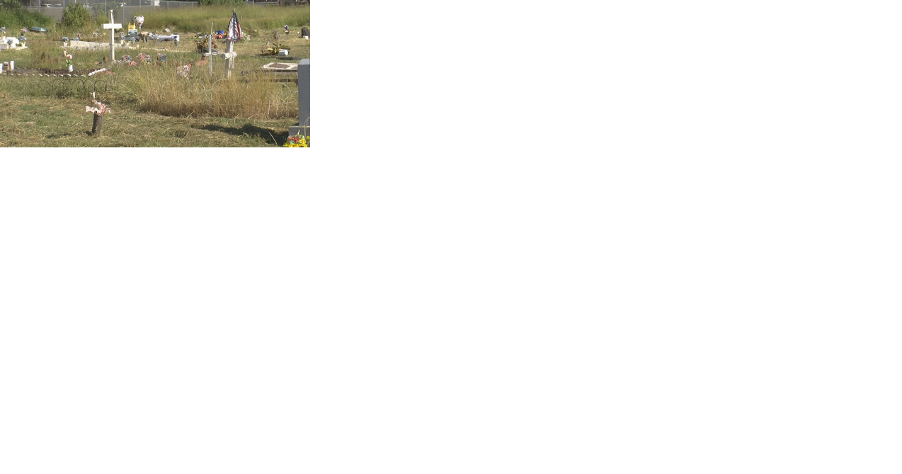 Neglected Pearl City cemetery getting improvements, new interactive website - Vimarsana News