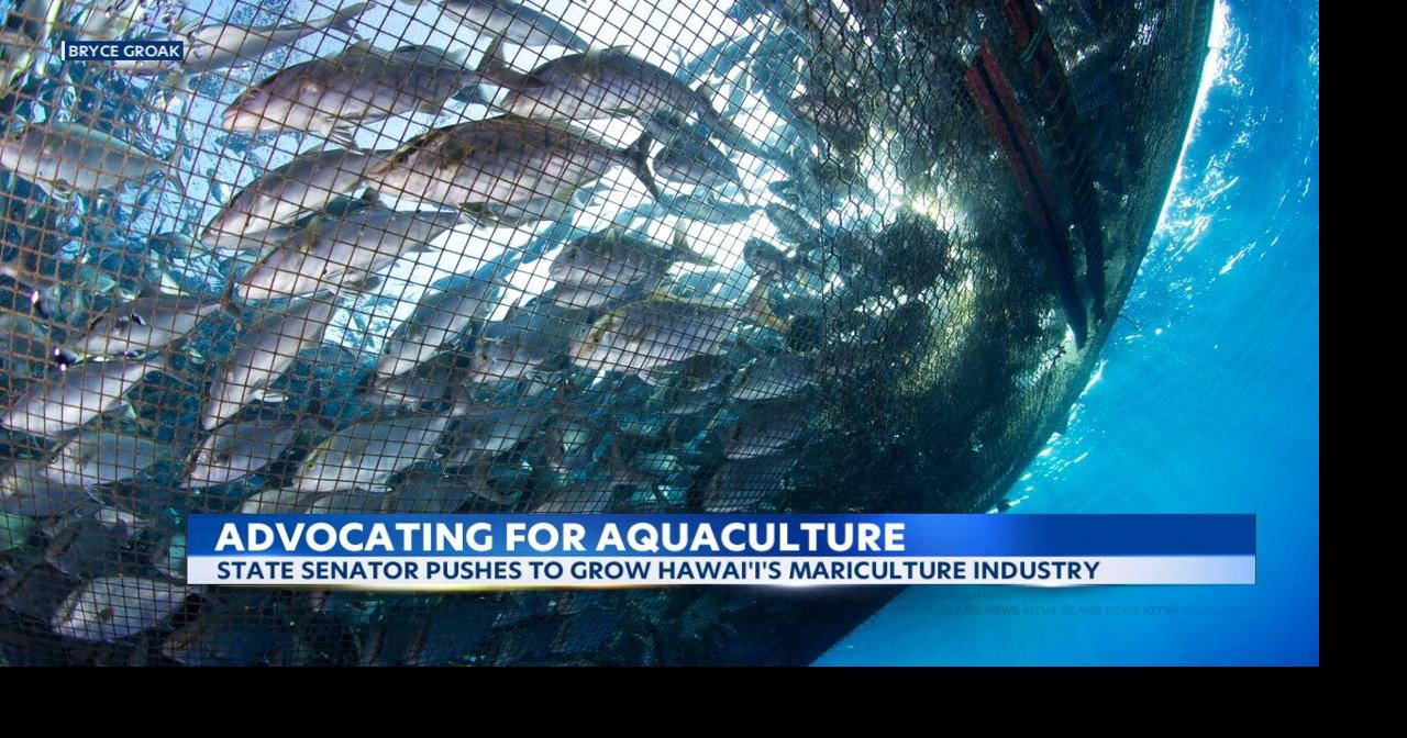Restorative aquaculture industry in Hawaii could be good for the planet, and the economy