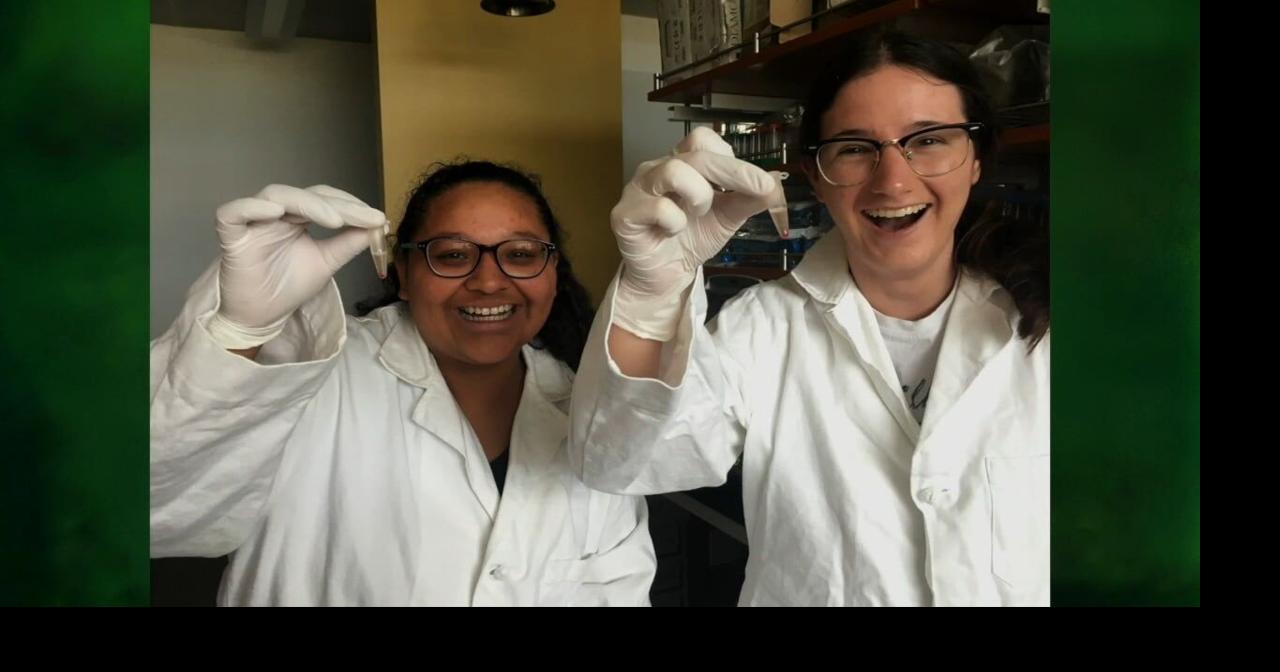 University of Hawaii leads $33M fight against invasive species
