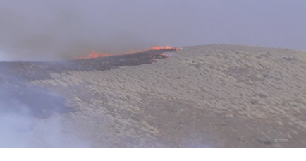 Firefighters using 2021 Mana Fire as model for fighting future brush fires - Vimarsana News