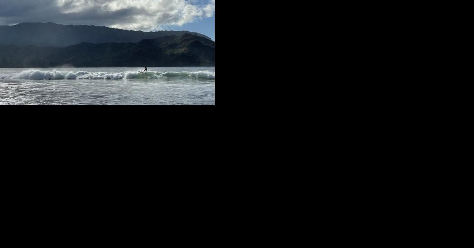 New Kaua'i County TAT payment portal takes effect Nov. 1 | Local - Vimarsana News