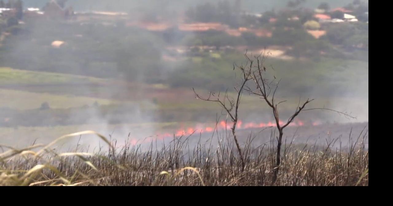 Risk after Rain: Why Hawaiʻi's wet season could mean more wildfires ahead