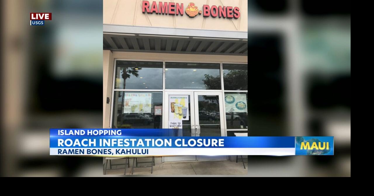 Cockroach infestation shuts down Maui ramen restaurant | Video | kitv.com