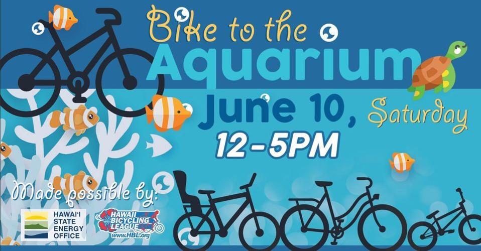 Events happening this weekend on Oahu June 9 June 11 Business