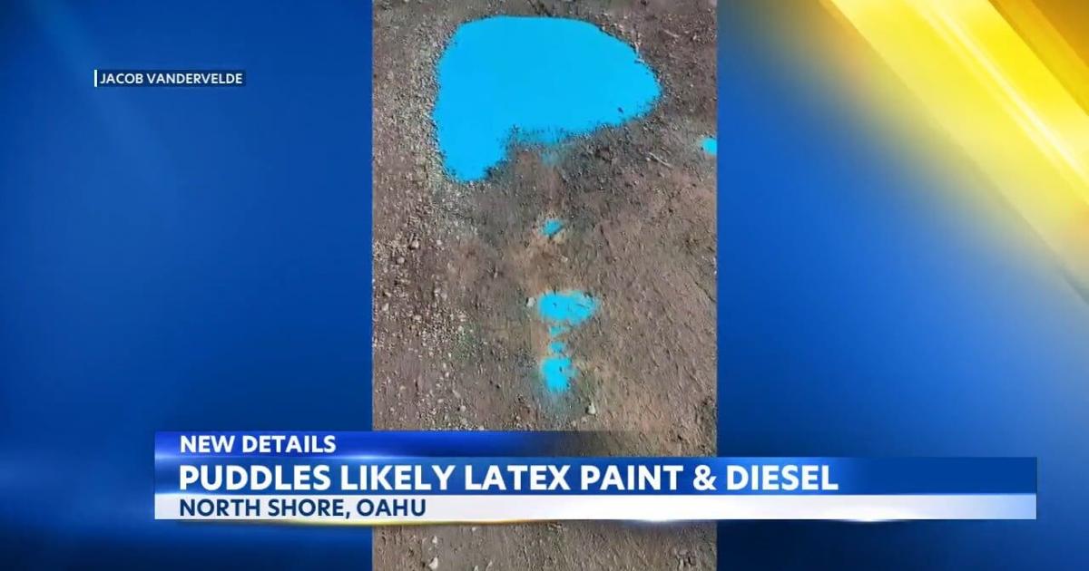 Bay Puddle DOT responds to bright blue puddle near Waimea Bay | Video | kitv.com