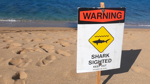 Aggressive shark spotted at Nanakuli Beach Park