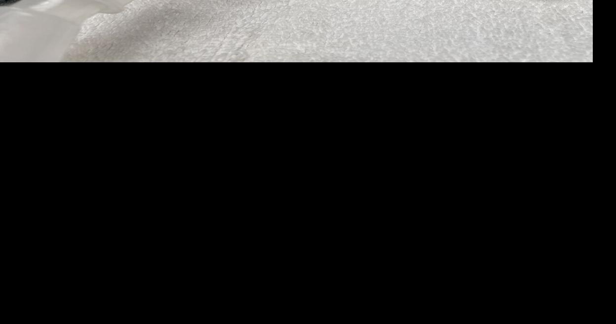 Kauai Humane Society gets grant for cheap neutering News