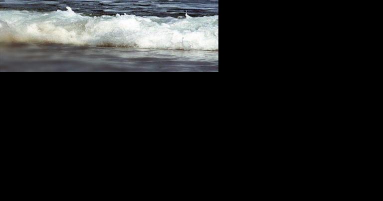 Visitor dies after snorkeling off Poipu - Vimarsana News