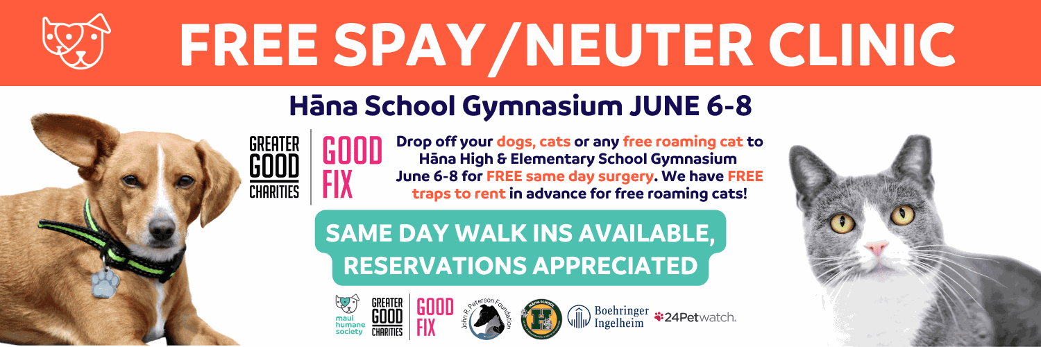 Maui Humane Society hosts free spay neuter clinic seeks pet pics