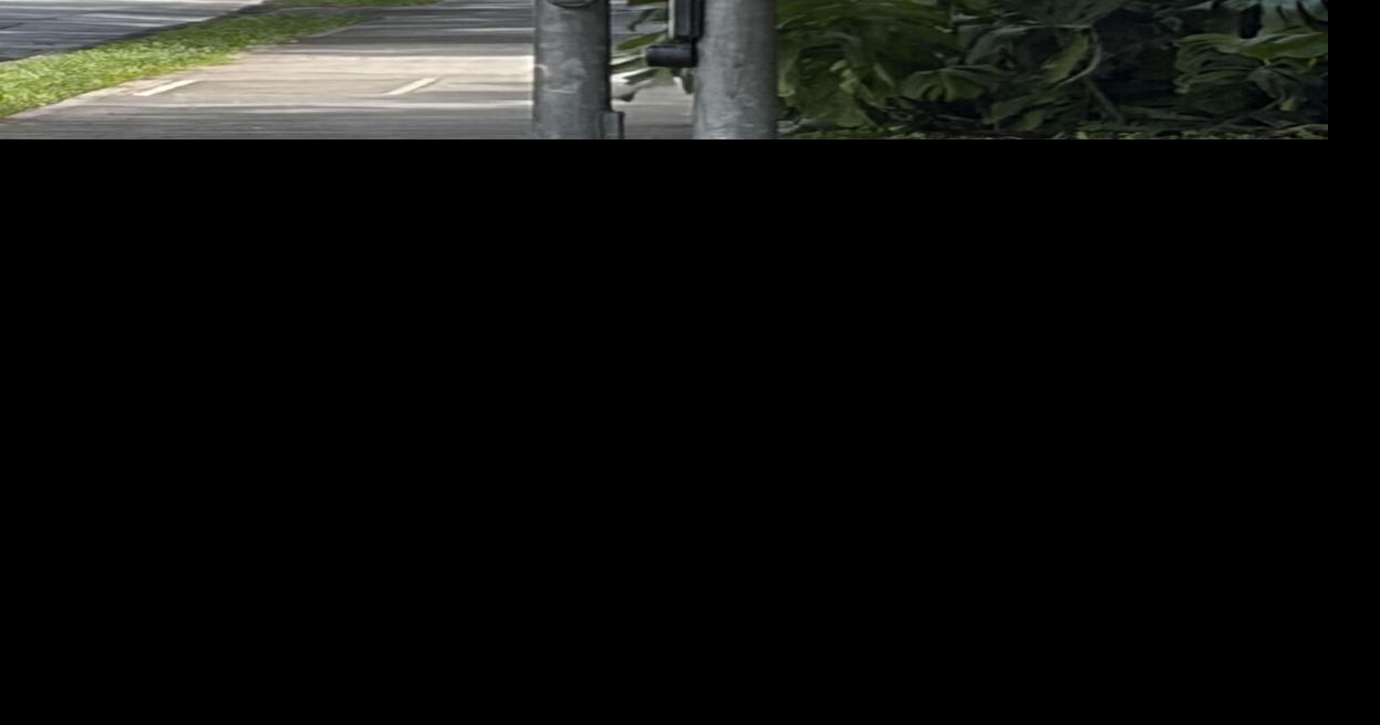 Crossing the road for pedestrians can be dangerous and, for some, costly