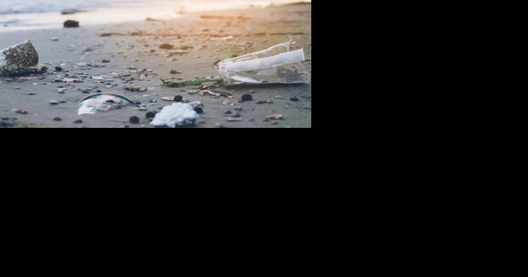 Volunteers needed for Sugar Beach clean up - Vimarsana News