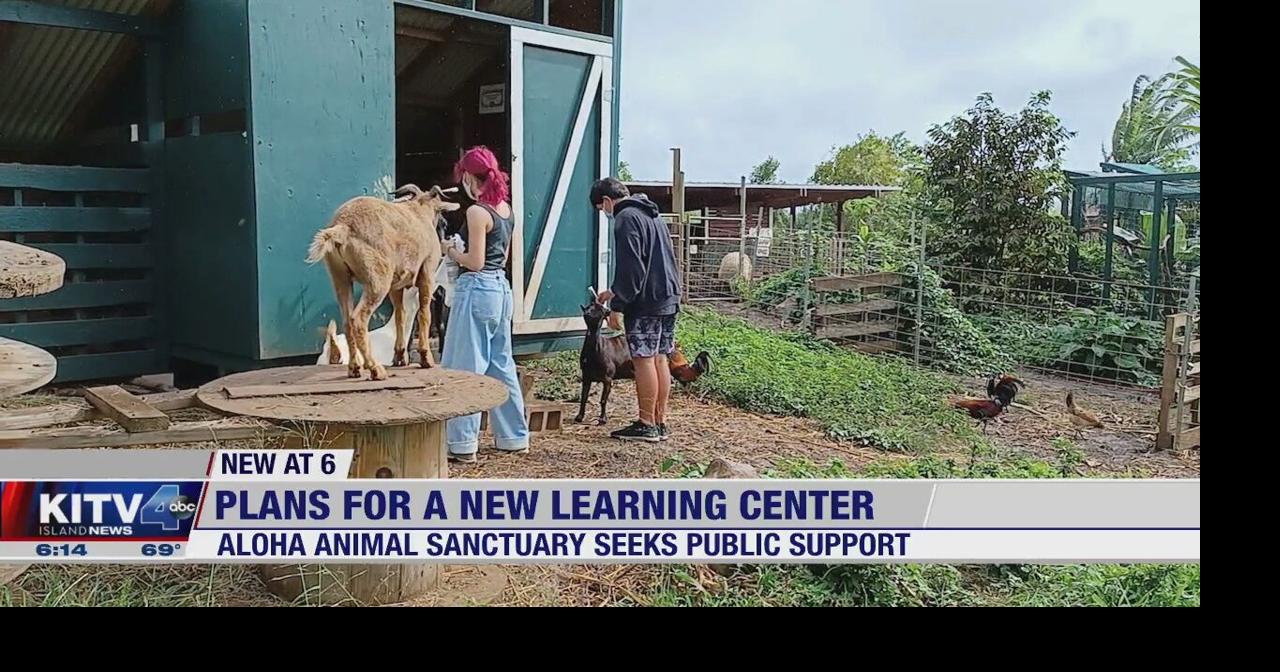 Kahaluu farm animal shelter seeks help building learning center Video