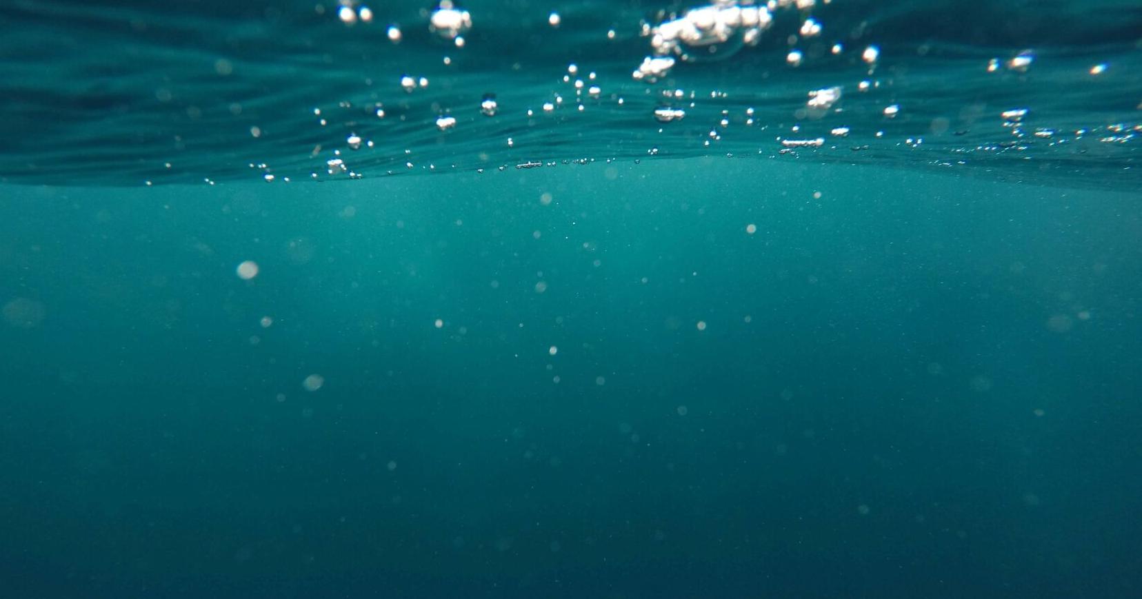 California man dies after snorkeling accident on Maui - Vimarsana News