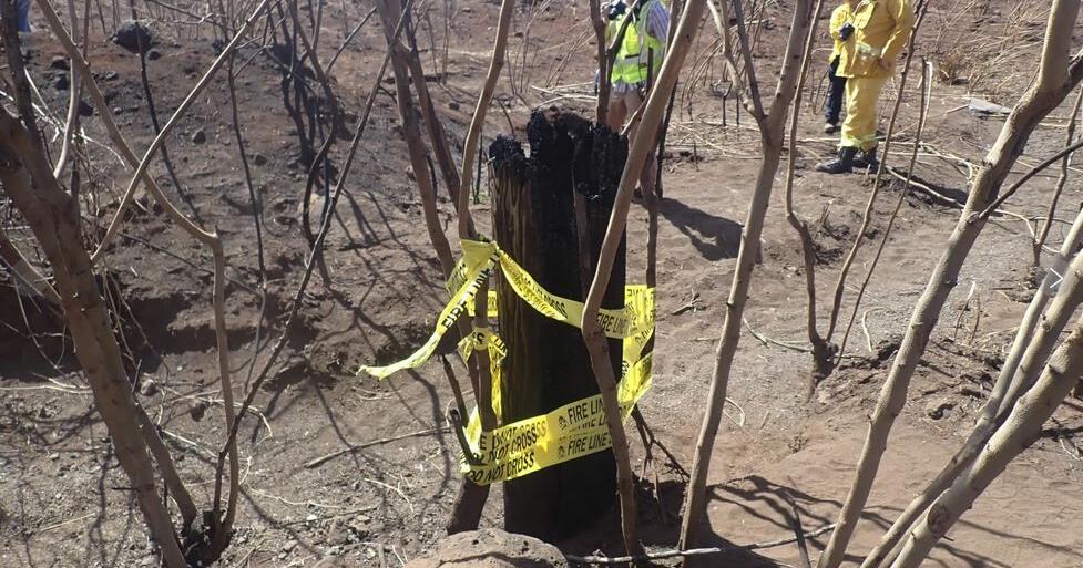 How did the Maui fire spread so quickly? Overgrown gully, stubborn embers may be key to probe - Vimarsana News
