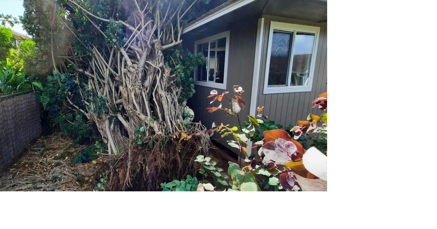 Construction workers say there's a lot to clean up after this week's ...