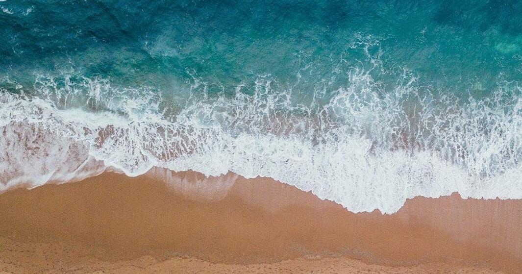 Competitors from around the globe arrive for Hawaii Adaptive Surfing Championship - Vimarsana News