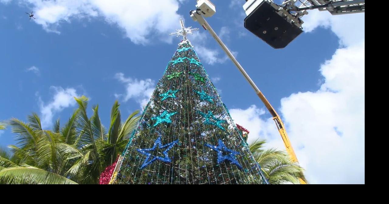 Honolulu Hale tree topping kicks off holiday festivities