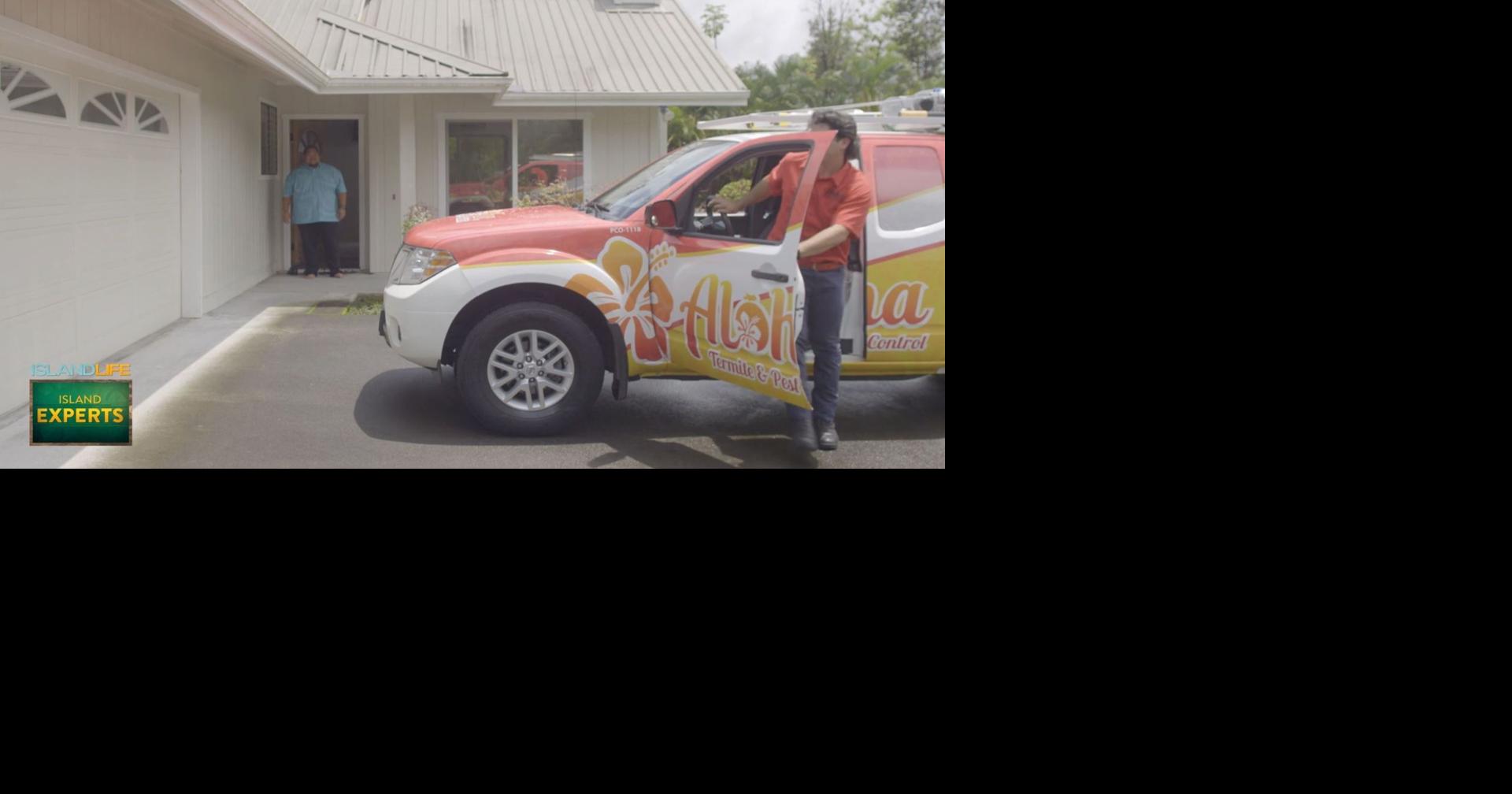 Island Experts Aloha Termite & Pest Control Island Life