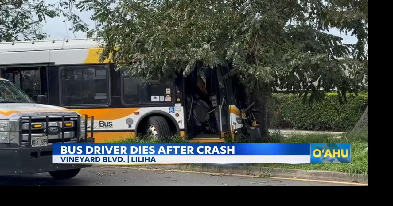 City bus driver dies from injuries after bus hits tree on North ...