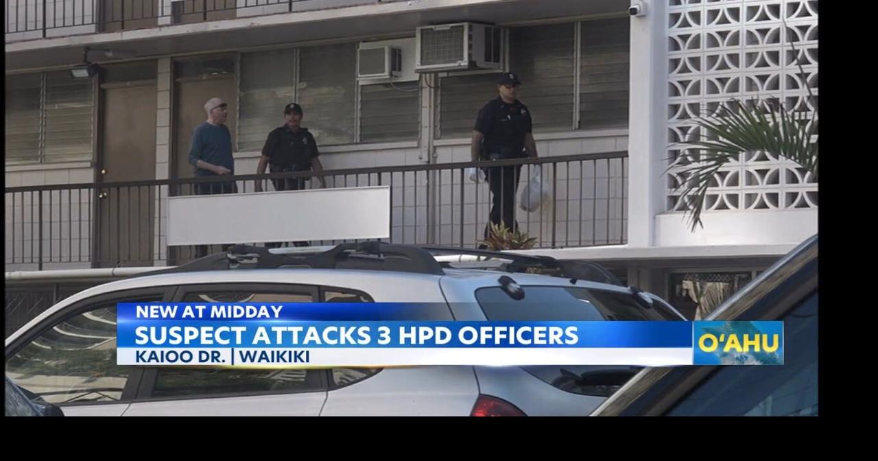 Man arrested in Waikiki after allegedly assaulting three police ...