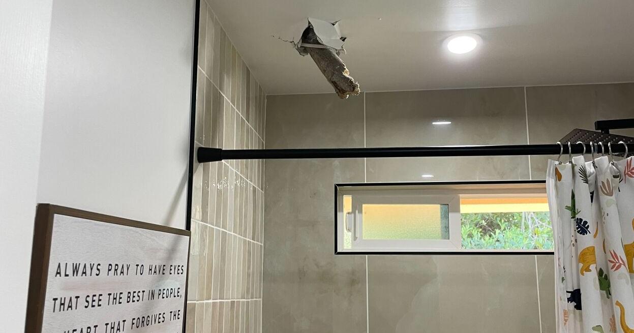 Massive tree strikes Wahiawa home, family's close call raises safety concerns - Vimarsana News