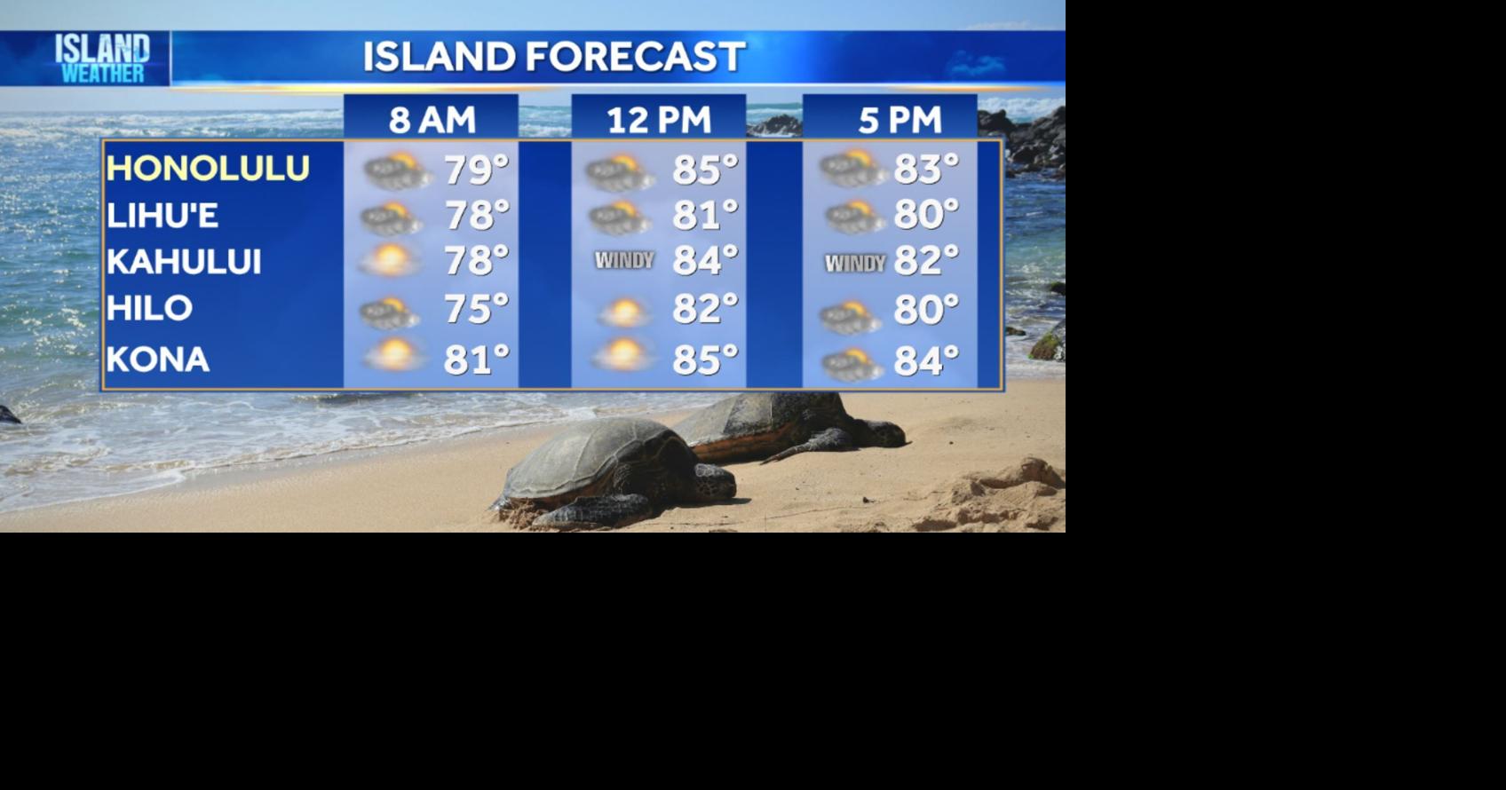 Wednesday Weather | Windy trade winds continue with wetter, muggier weather ahead