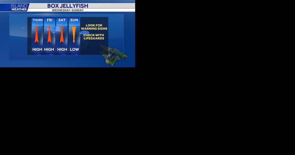 Saturday Weather: Lighter trade winds and High Surf Warning - Vimarsana News