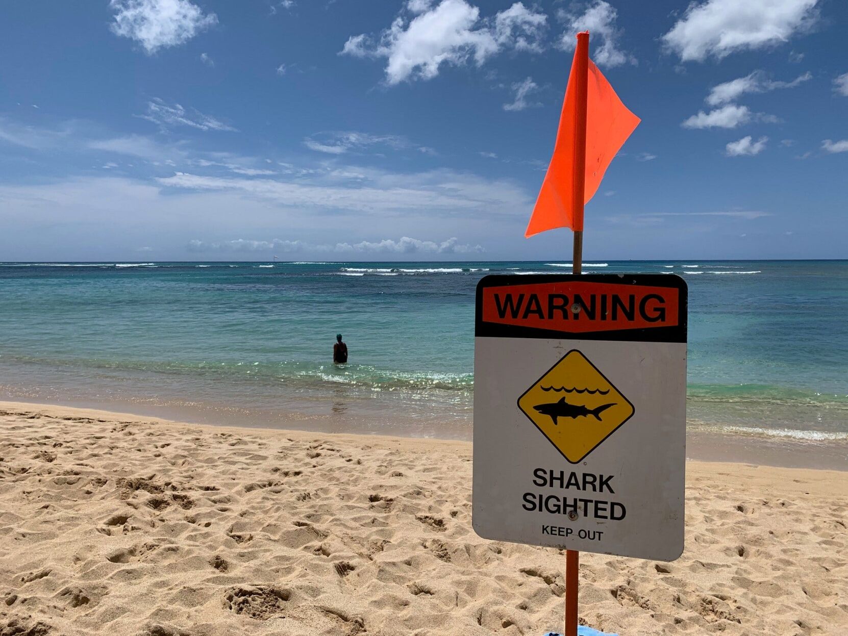 希少❗️HIGH SURF WARNING SIGN HAWAII（ノースショア） A7X7DKR4LRATPLSBPXSMU73XCY.jpg