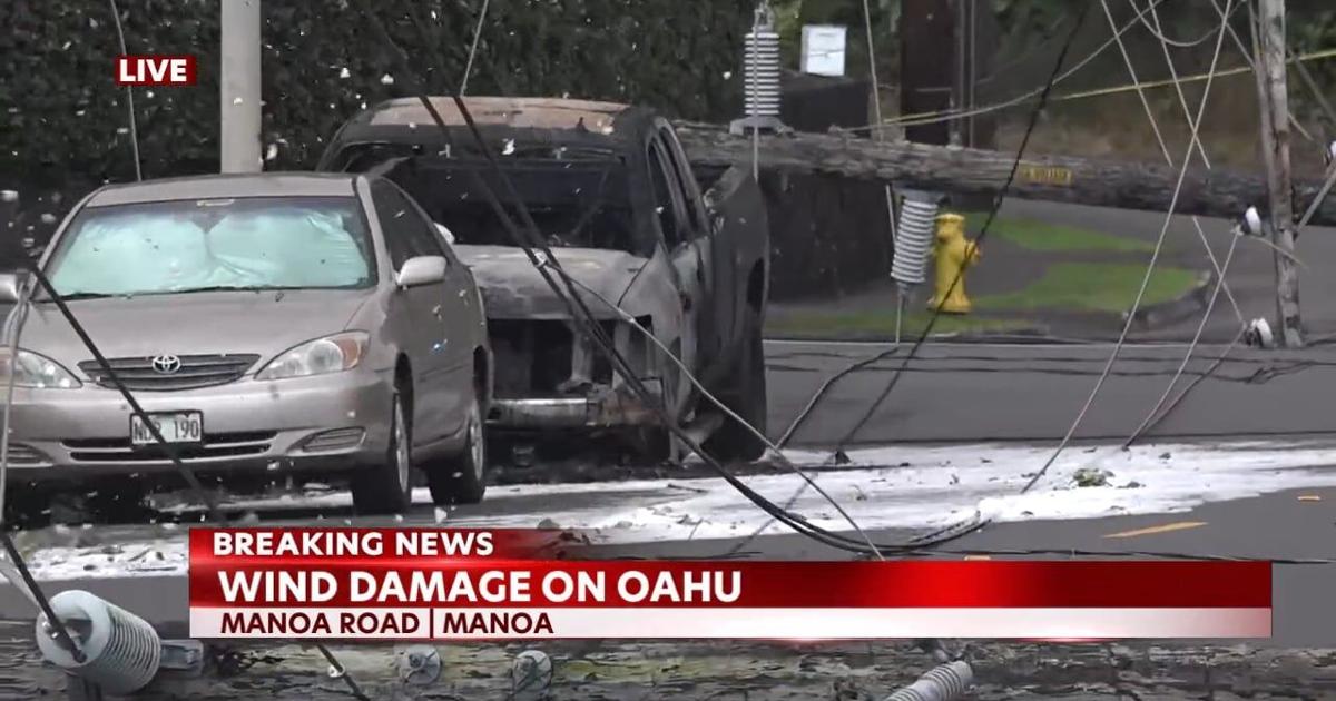 Manoa Rd Energy A Manoa road is closed due to downed power lines | Video | kitv.com