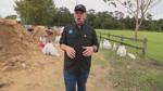 Orlando Residents Prep for Potential Flooding due to Hurricane Milton