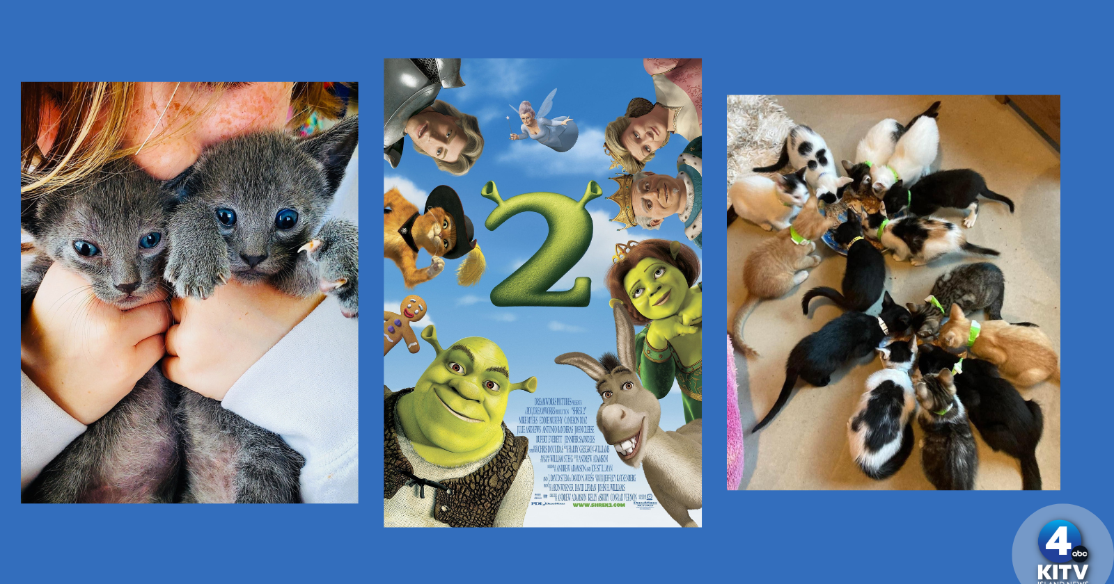 Consolidated Theaters launching Saturday Morning movie program for keiki - Vimarsana News